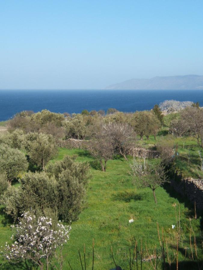 Eleana Residence Mithimna Dış mekan fotoğraf